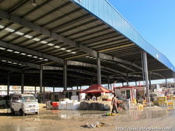 春節前的水產品農貿批發市場 年味、忙碌與希望的匯聚地