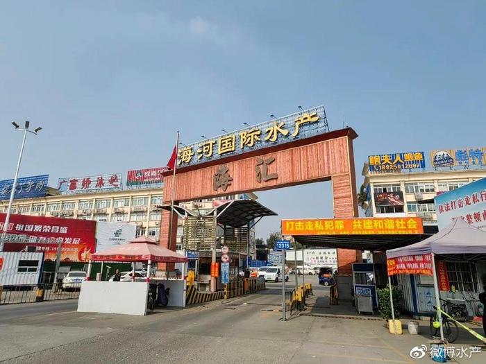 加拿大北極蝦，新鮮直供廣州海河水產批發市場